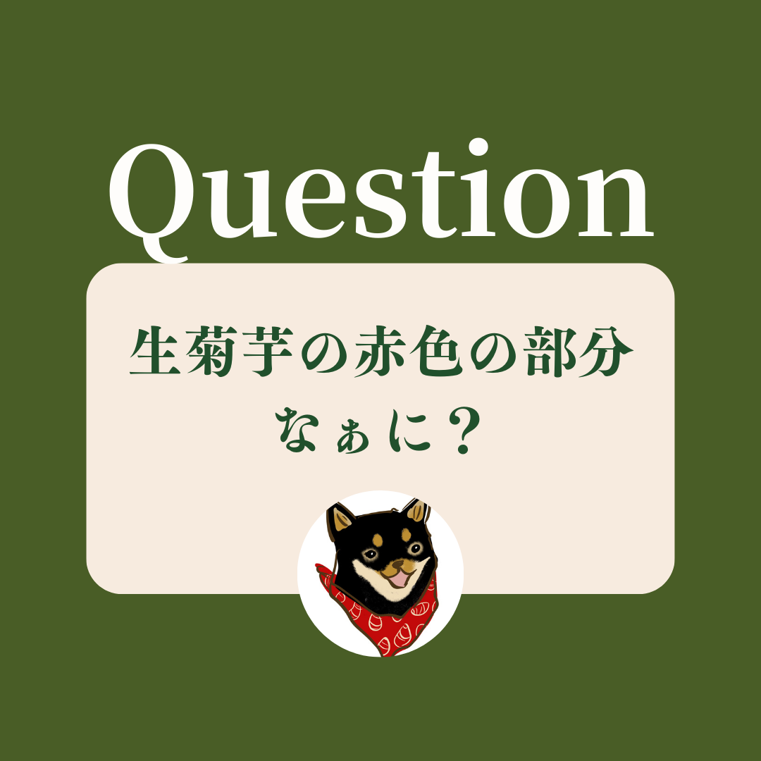 生菊芋の赤色の部分なぁに？
