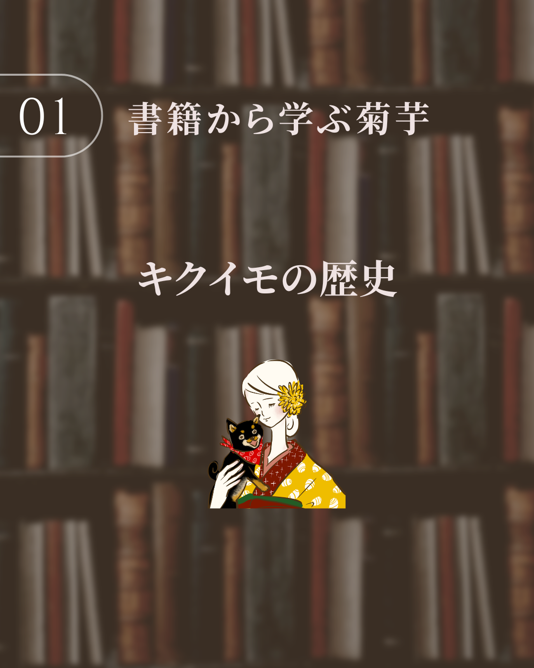 キクイモの歴史