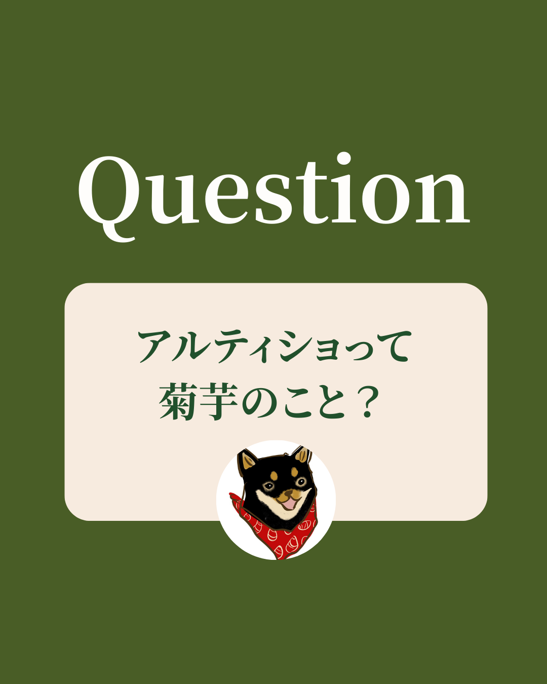 アルティショって菊芋のこと？