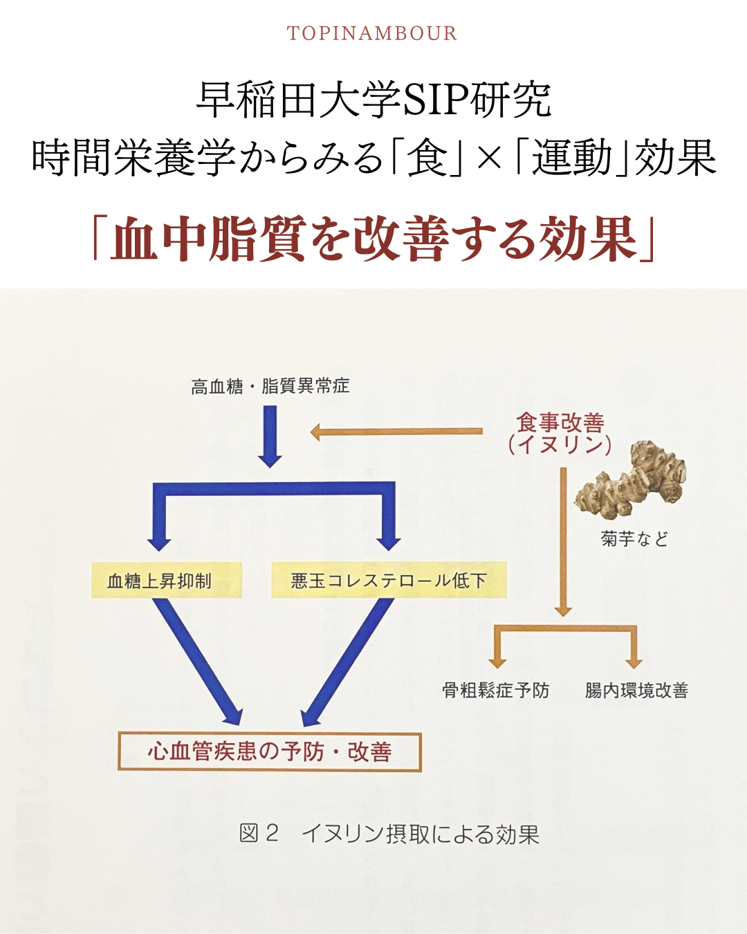 血中脂質を改善する効果