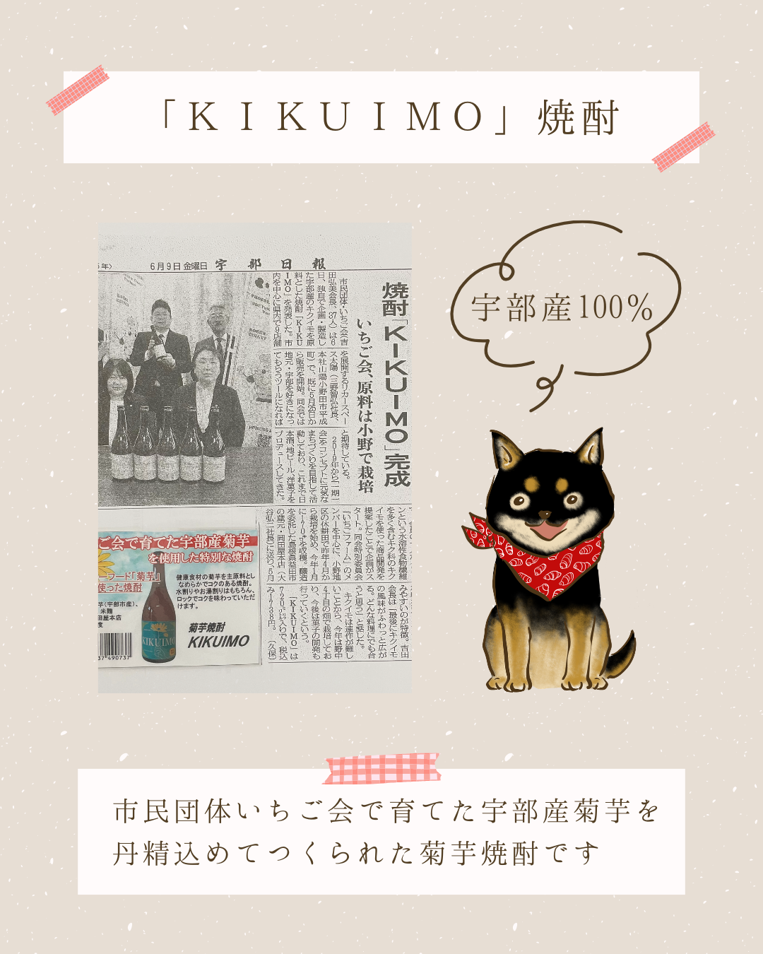 「KIKUIMO」焼酎