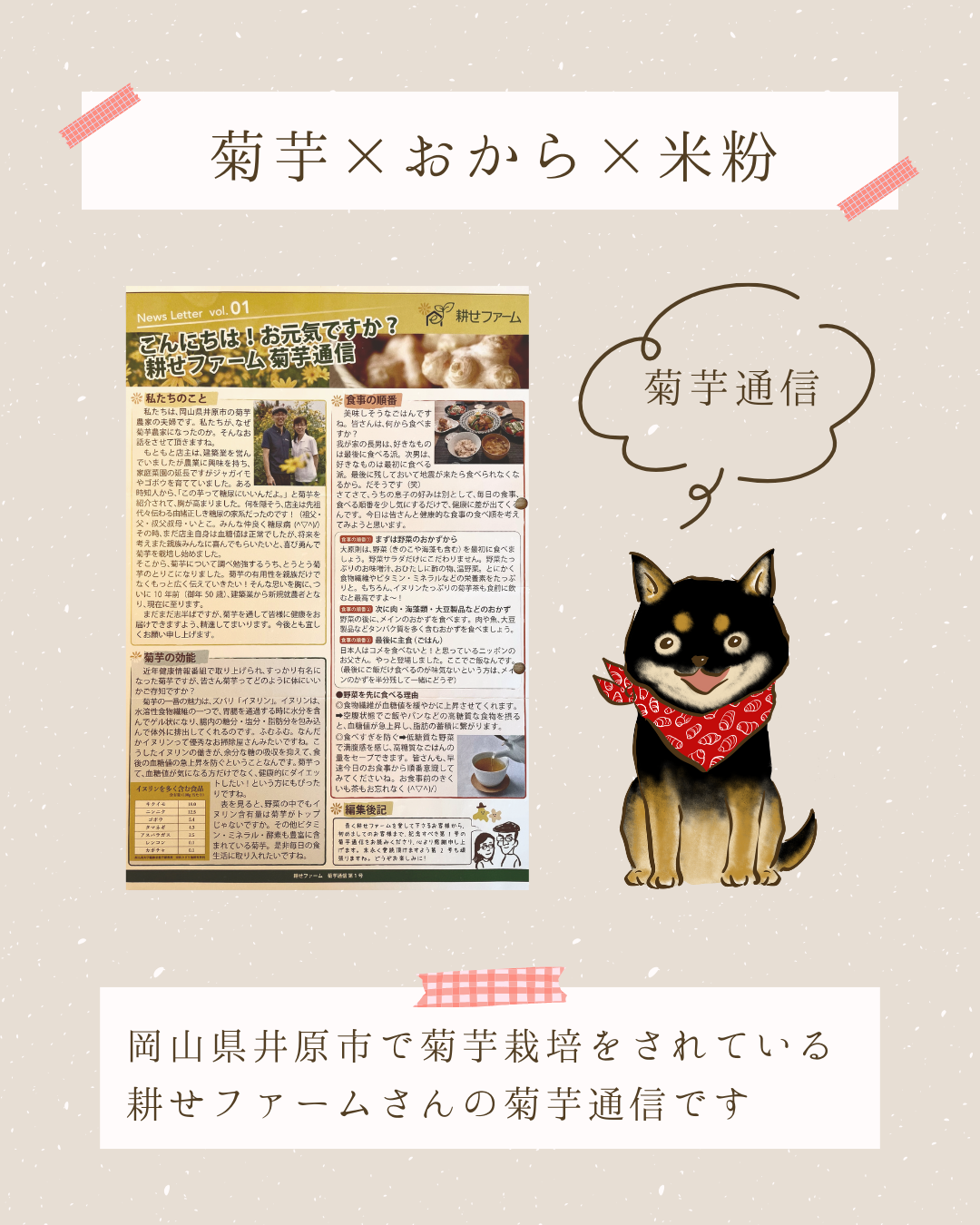 菊芋×おから×米粉