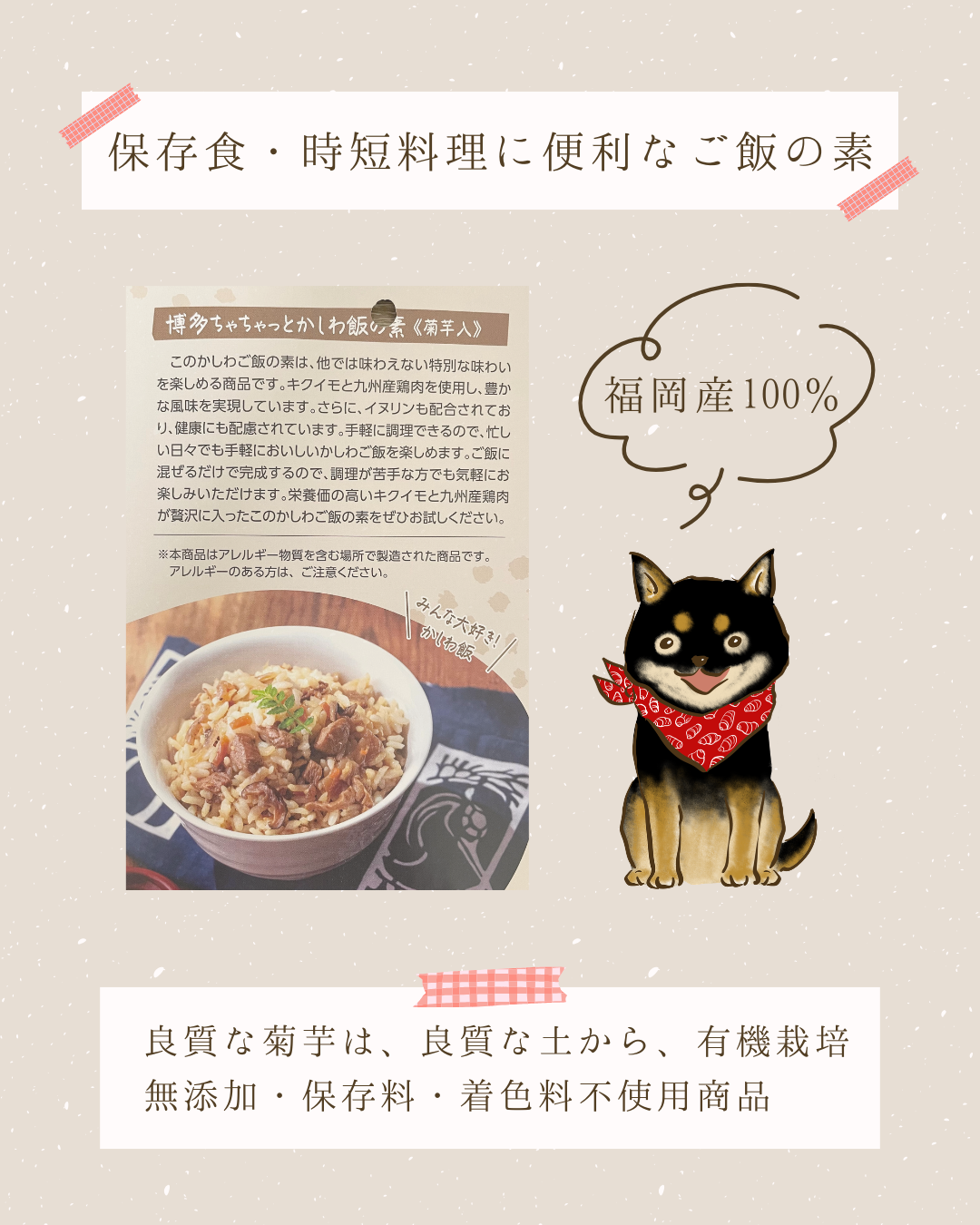 保存食・時短料理に便利なご飯の素