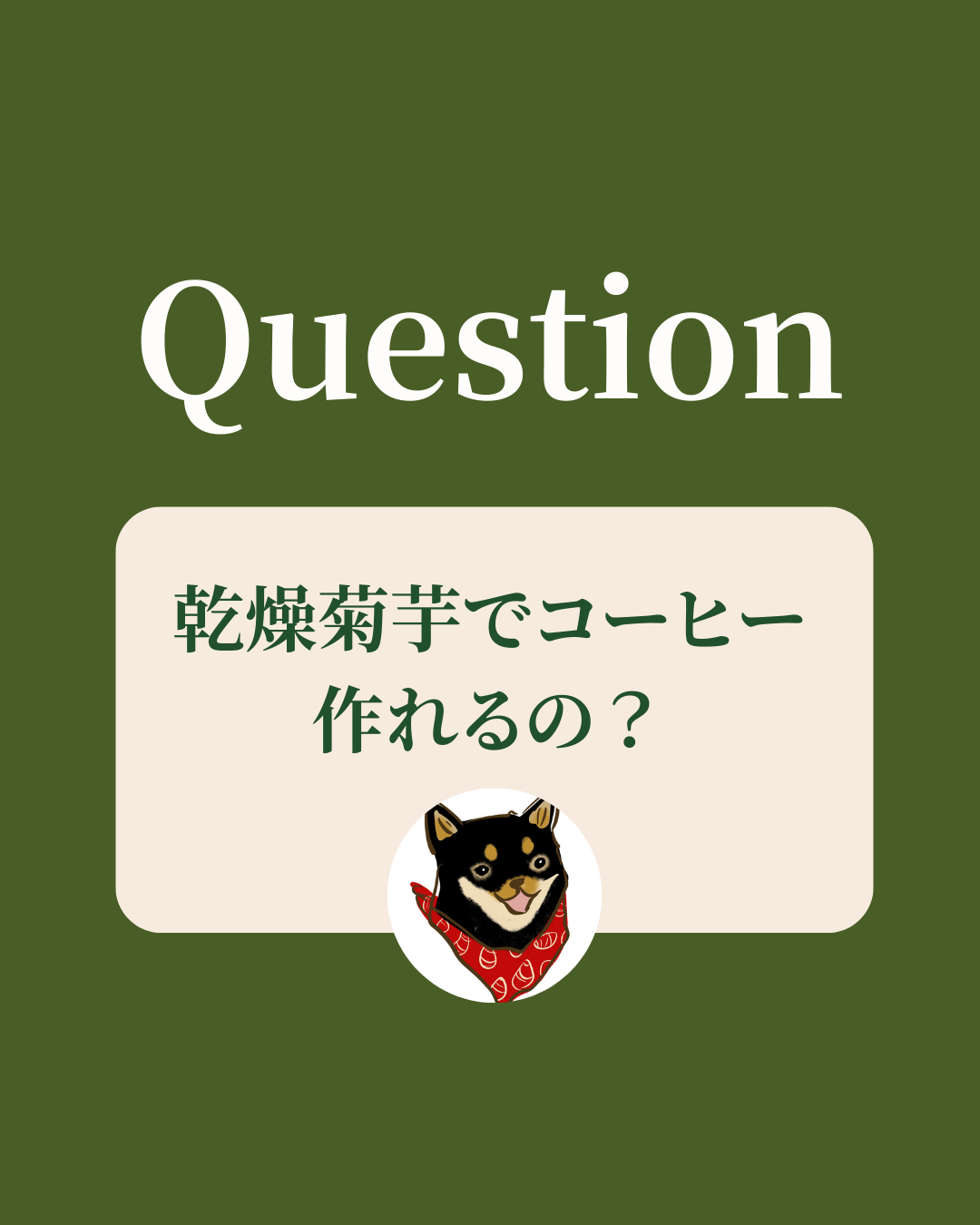 乾燥菊芋でコーヒー作れるの？
