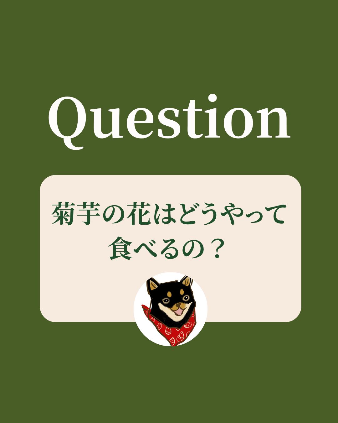 菊芋の花はどうやって食べるの？