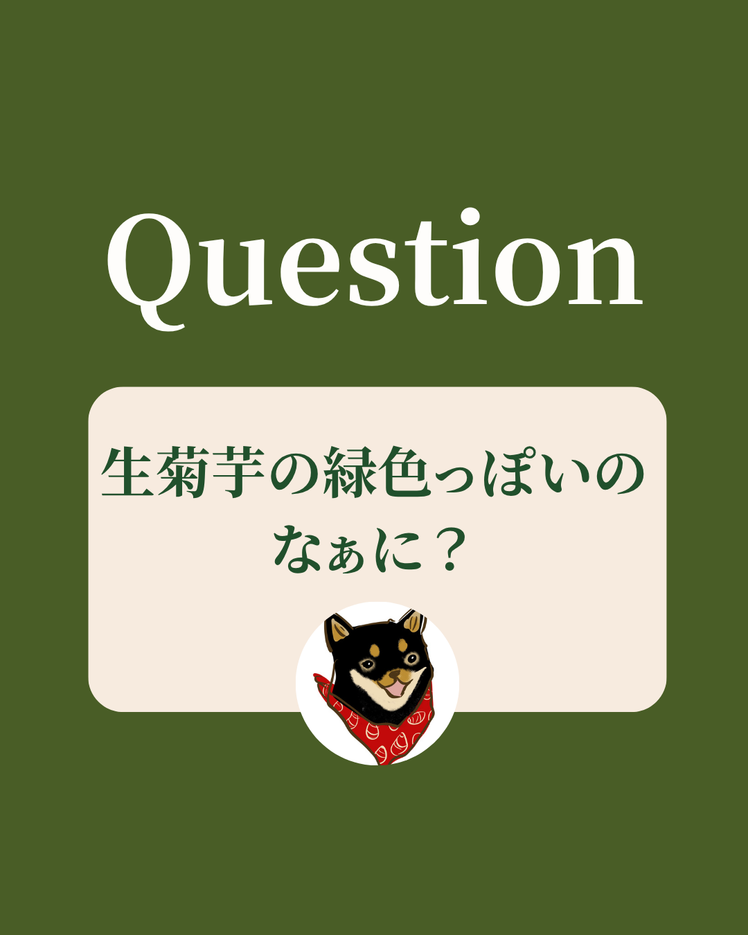 生菊芋の緑色っぽいのなぁに？