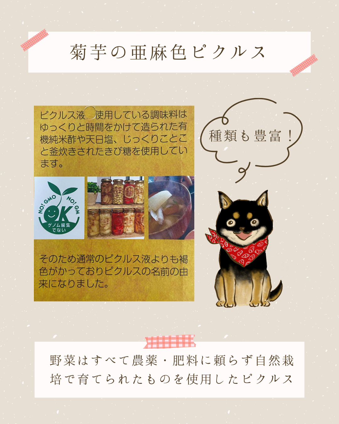 菊芋の亜麻色ピクルス