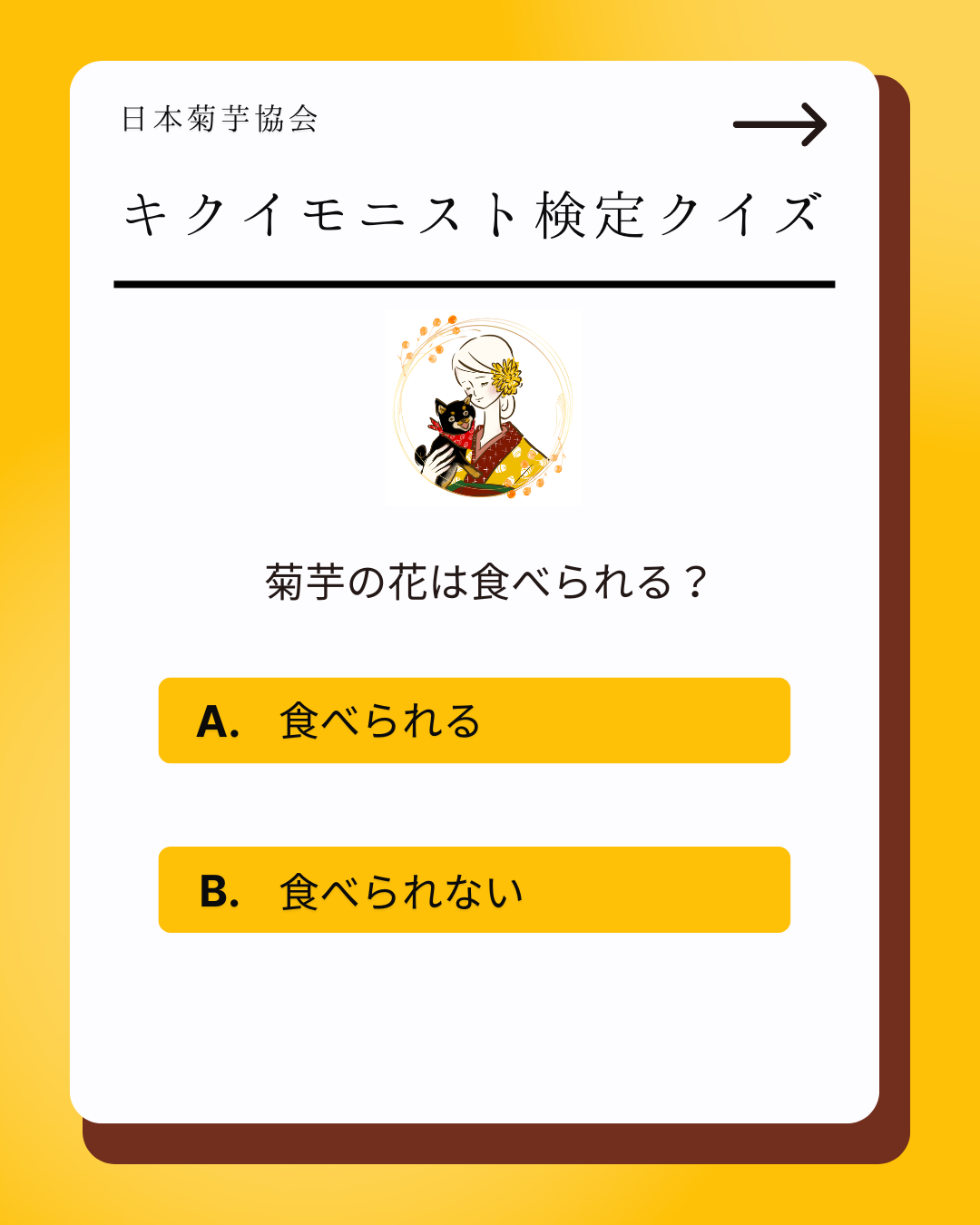 検定クイズその⑪