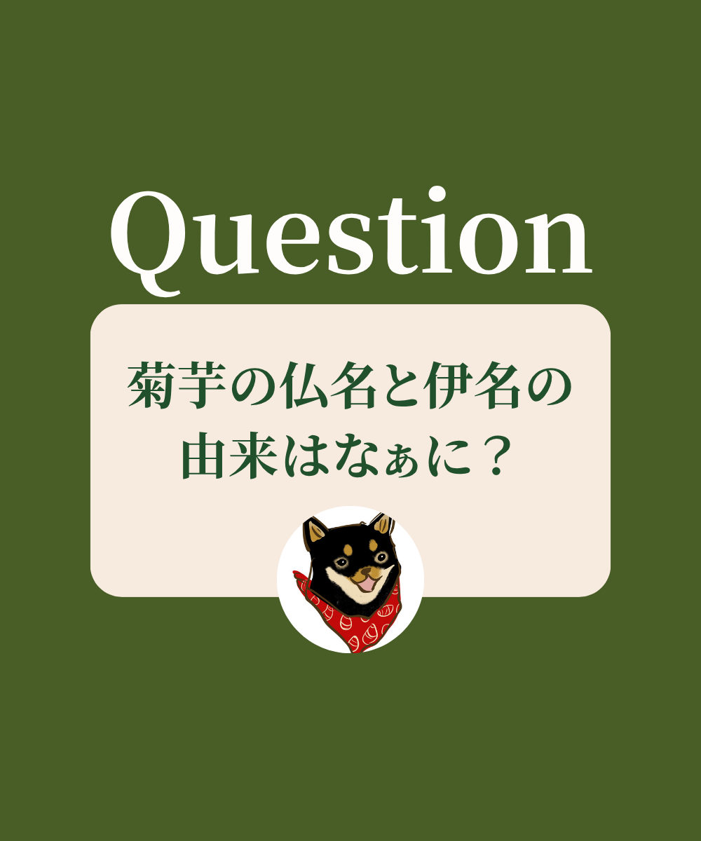 菊芋の仏名と伊名の由来はなぁに？
