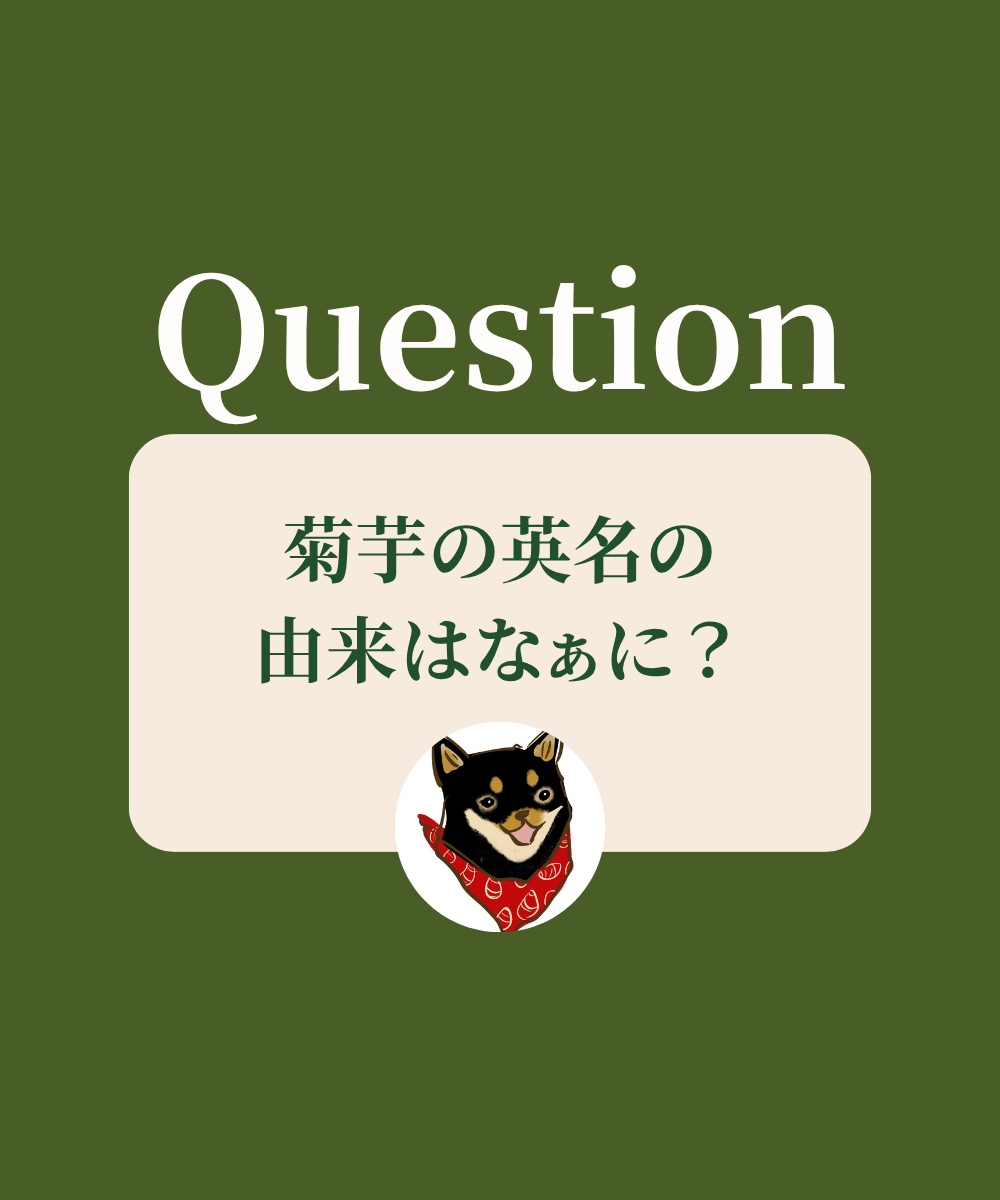 菊芋の英名はなぁに？