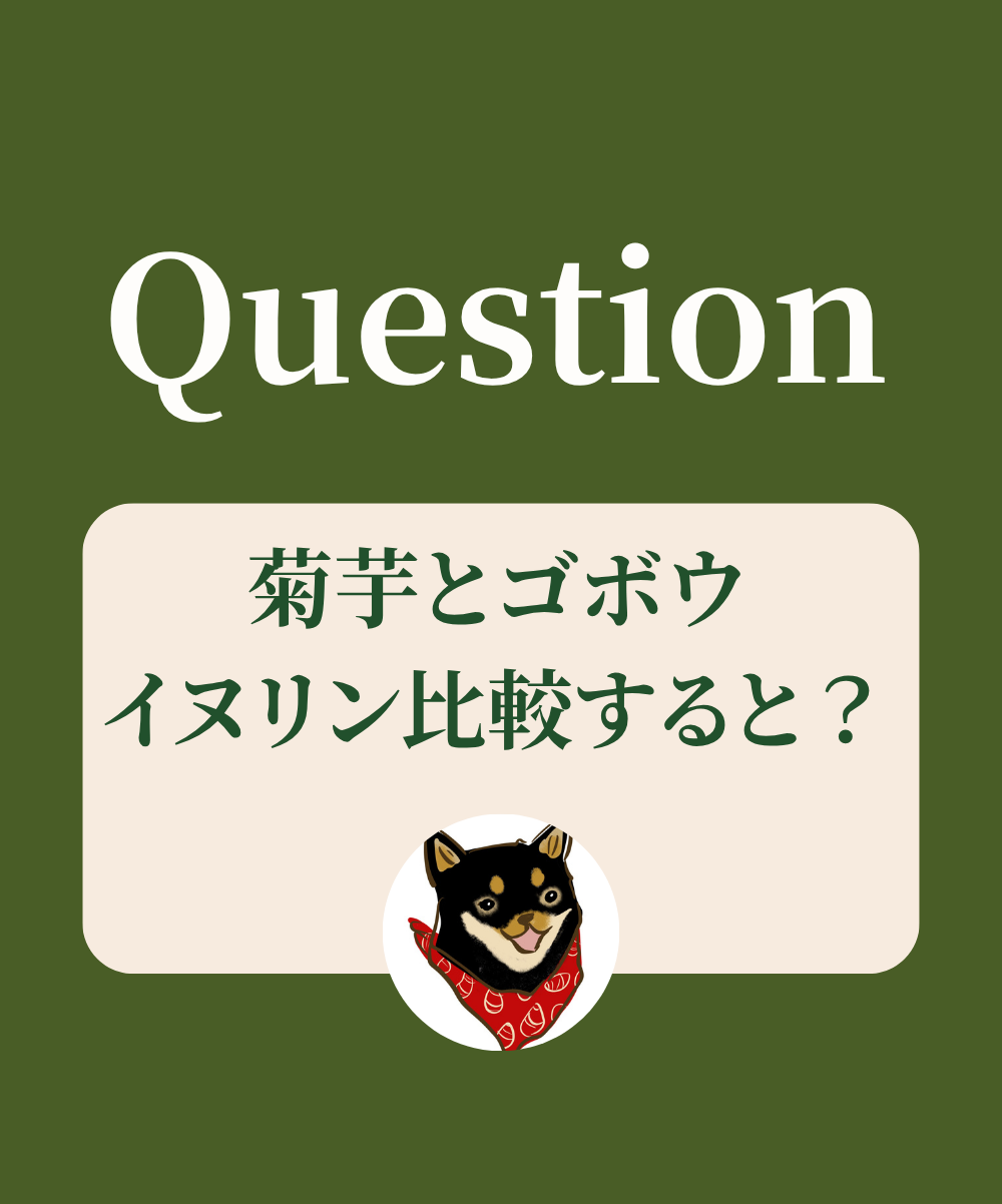 菊芋とゴボウのイヌリン比較すると？