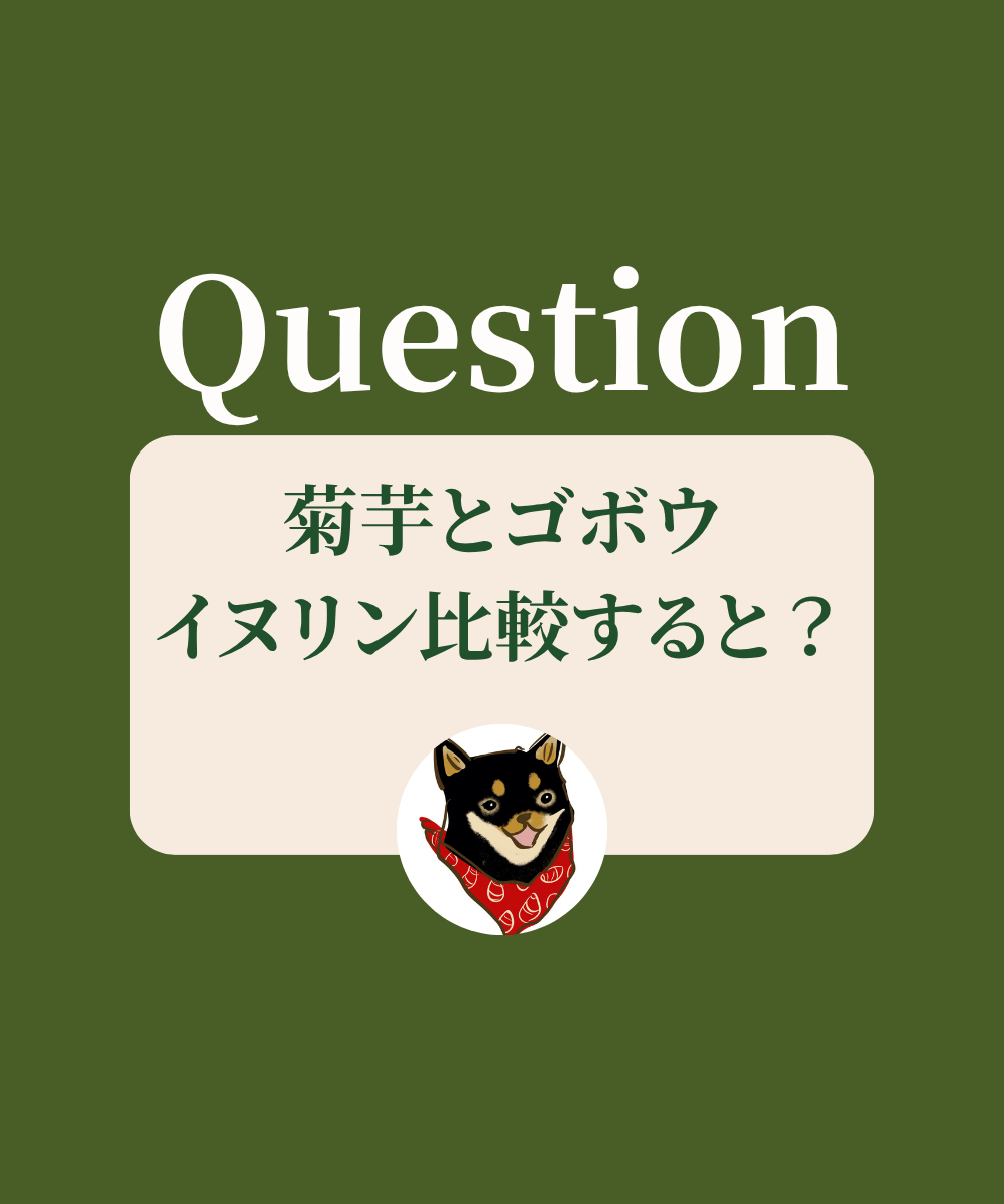 菊芋とゴボウのイヌリン比較すると？
