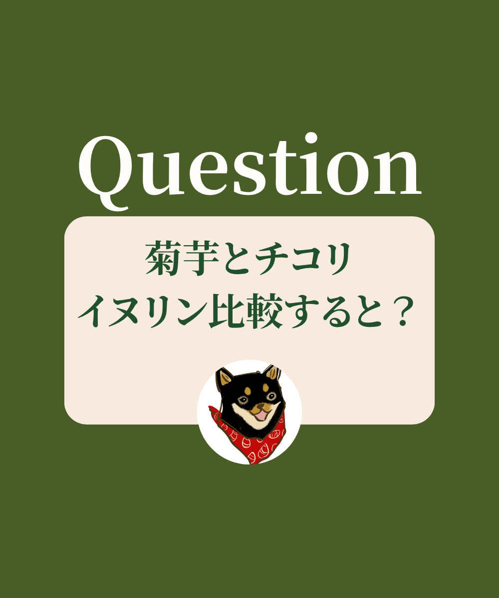 菊芋とチコリイヌリン比較すると？