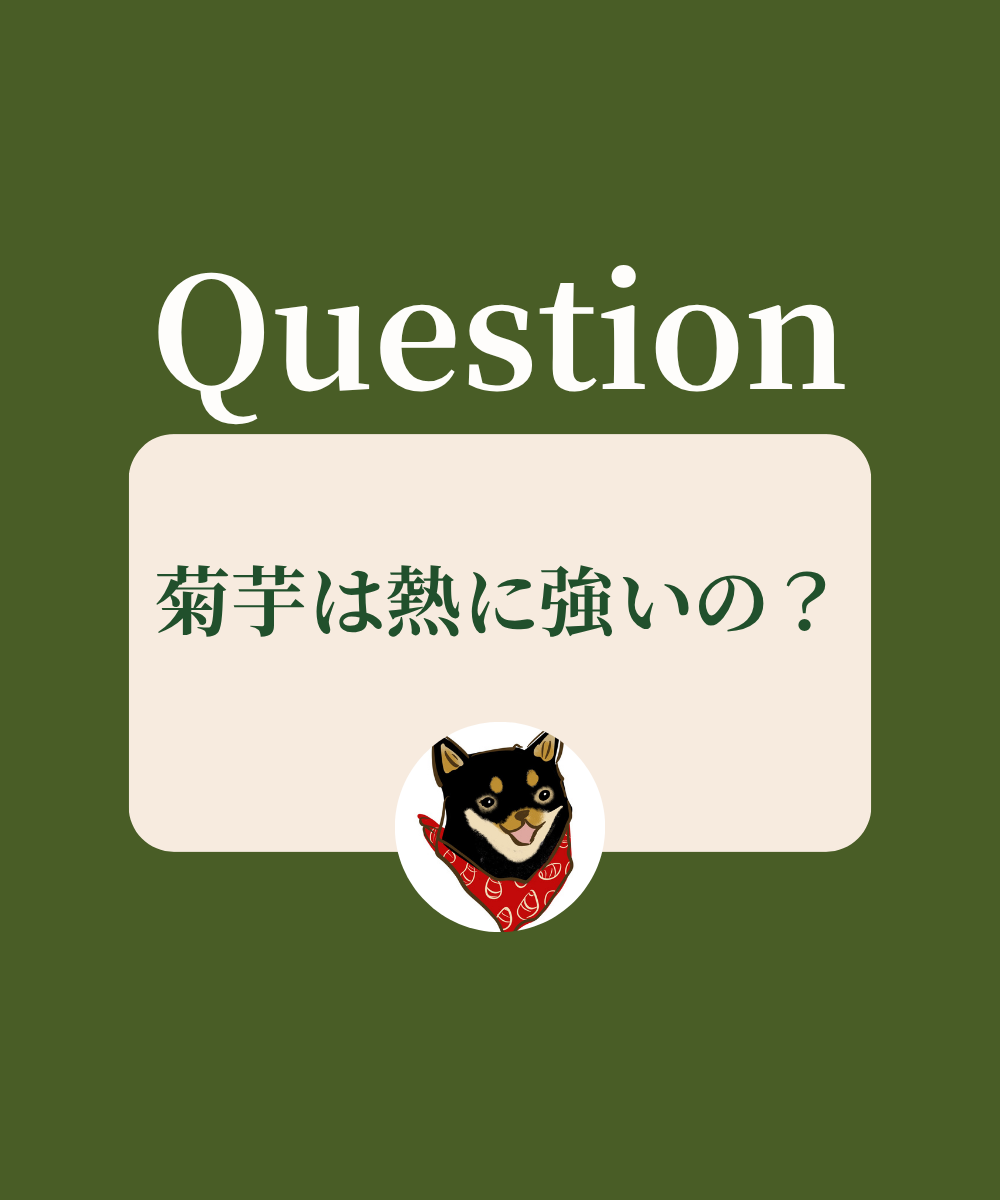 菊芋は熱に強いの？