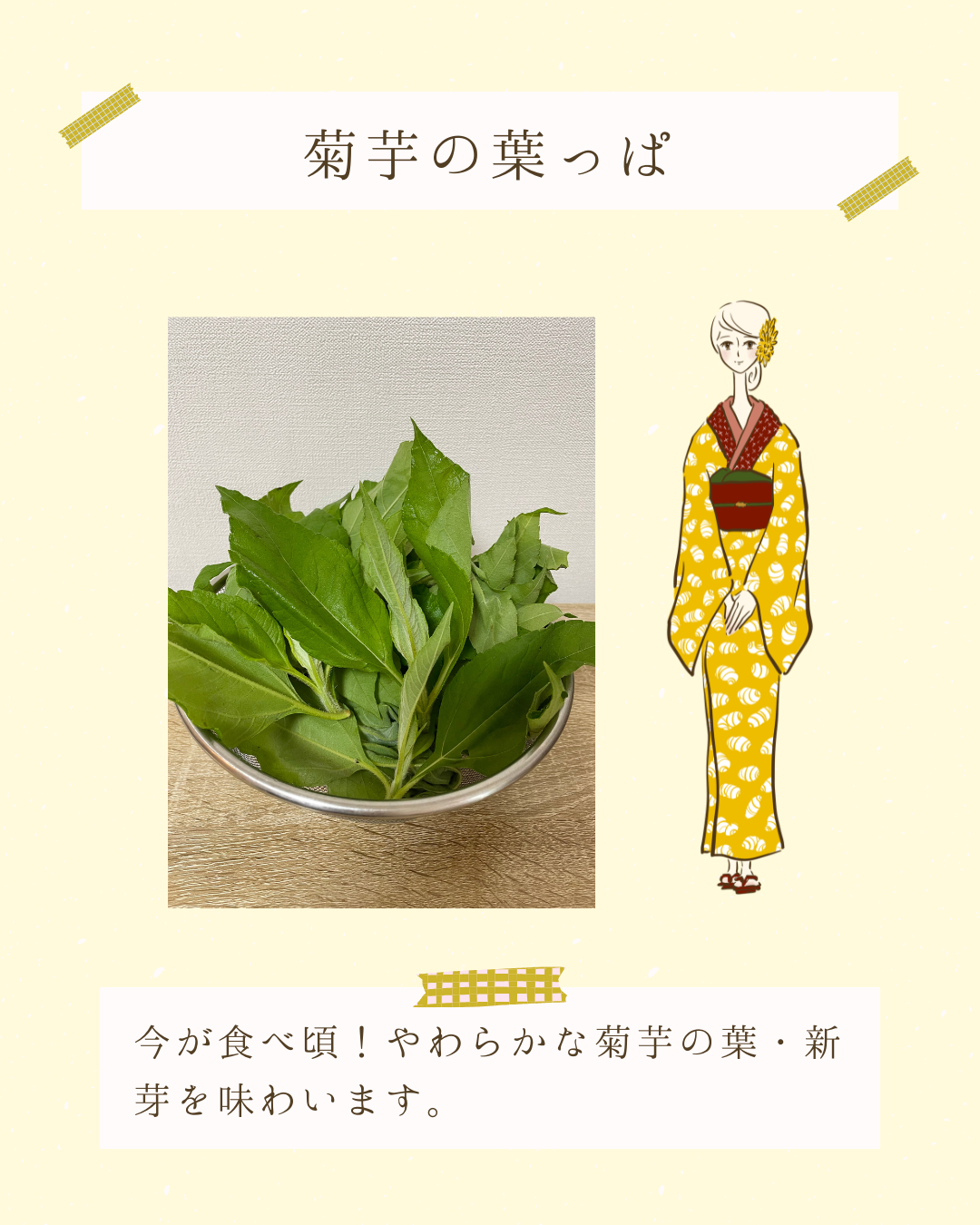 菊芋の葉っぱ