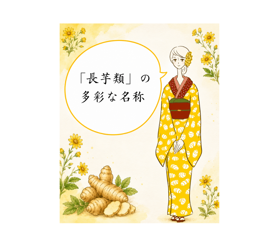 「長芋類」の多彩な名称